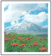 Damavand 